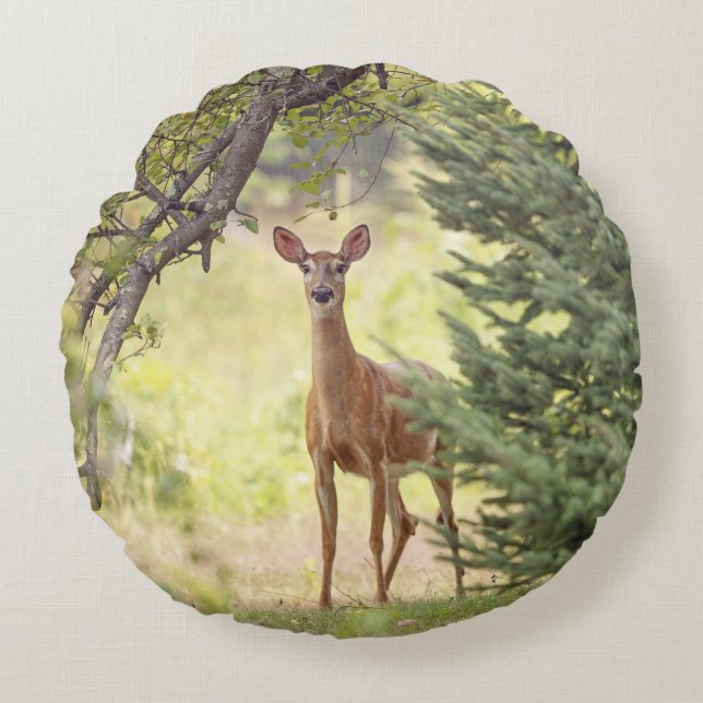 A Lone Deer  Round Pillow (Front)