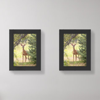 A Lone Deer Wall Art Sets