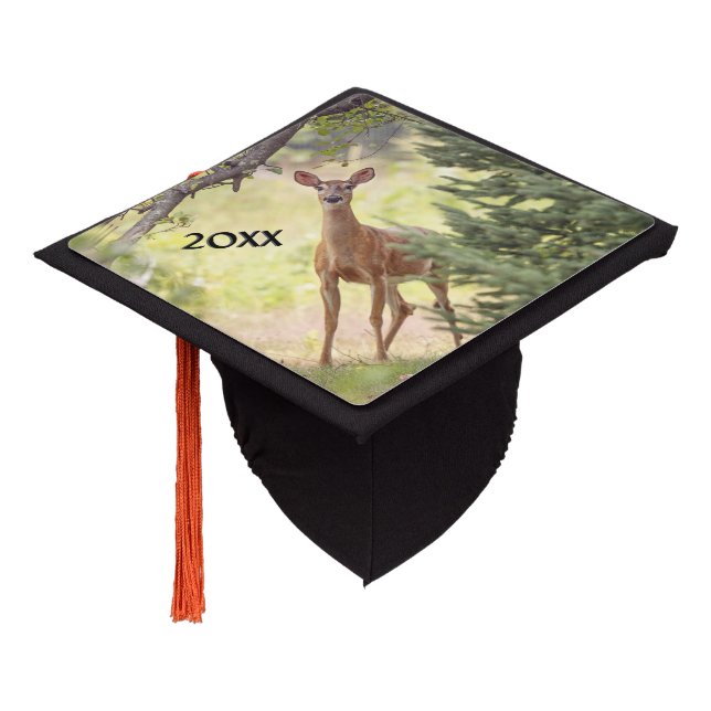 A Lone Deer with Year Graduation Cap Topper (Angled)