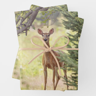 A Lone Deer  Wrapping Paper Sheets