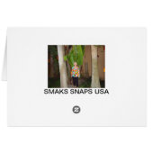 A Lone Flamingo Cards (Back Horizontal)