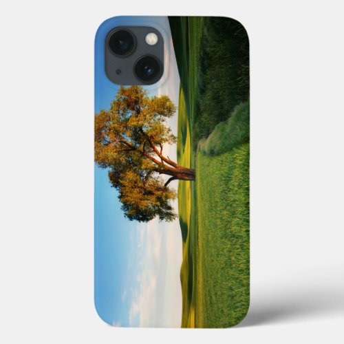 A lone tree surrounded by rolling hills of wheat iPhone 13 case