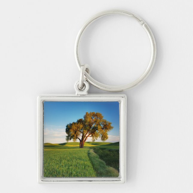 A lone tree surrounded by rolling hills of wheat keychain (Front)