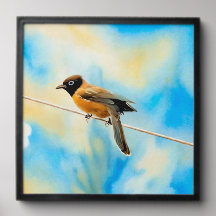 A lonely colorful bird