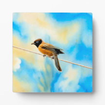 A lonely colorful bird