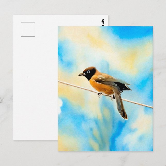 A lonely colorful bird postcard (Front/Back)