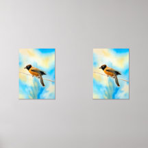 A lonely colorful bird