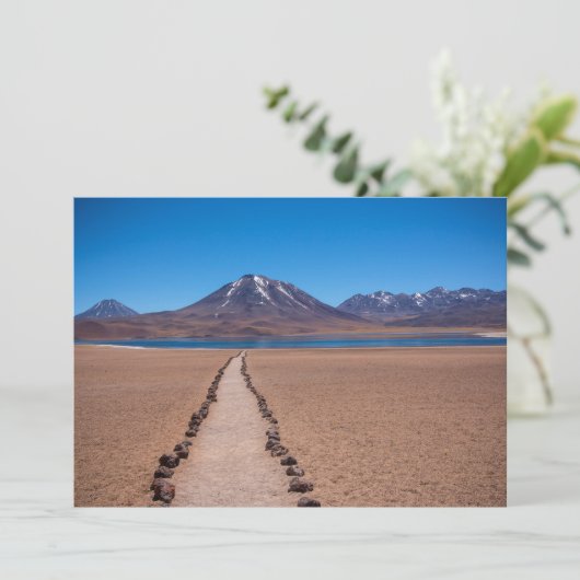 A lonely path (Standing Front)