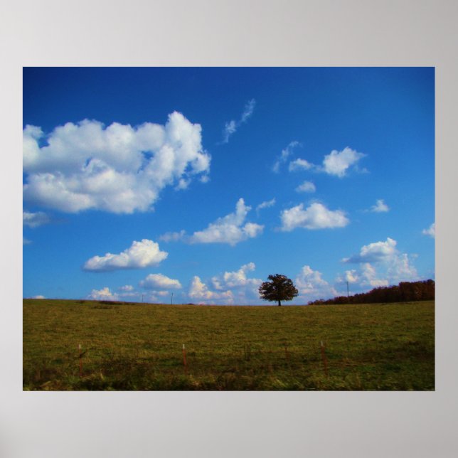 A lonely tree poster (Front)