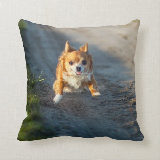 A Long Haired Brown And White Chihuahua Running Throw Pillow