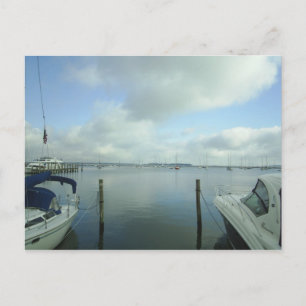 A Look into the Harbor Postcard