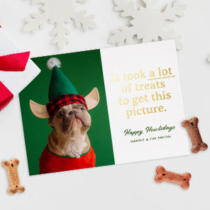 A Lot of Treats Happy Howlidays Funny Pet Foil Holiday Card