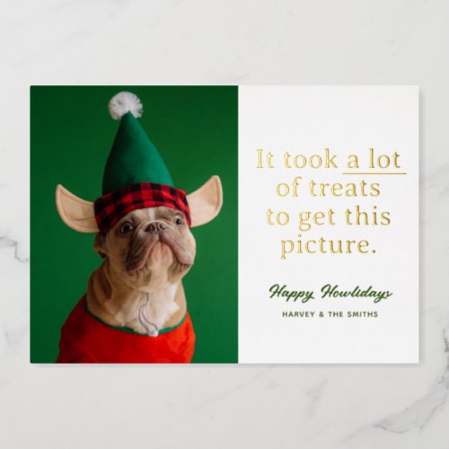 A Lot of Treats Happy Howlidays Funny Pet Foil Holiday Card