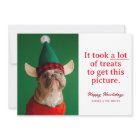 A Lot of Treats Happy Howlidays Funny Pet