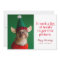 A Lot of Treats Happy Howlidays Funny Pet