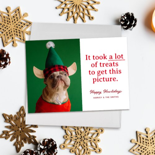 A Lot of Treats Happy Howlidays Funny Pet Holiday Card