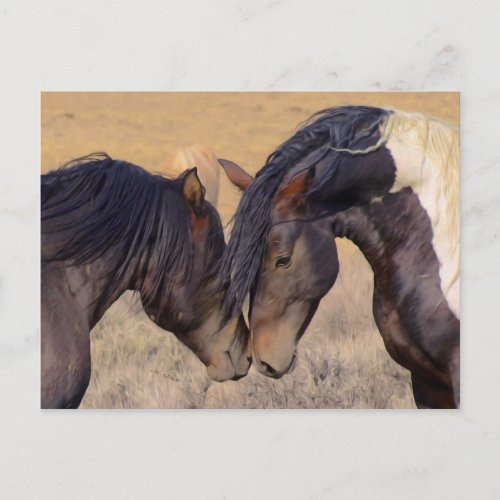 A Love of Horses Postcard