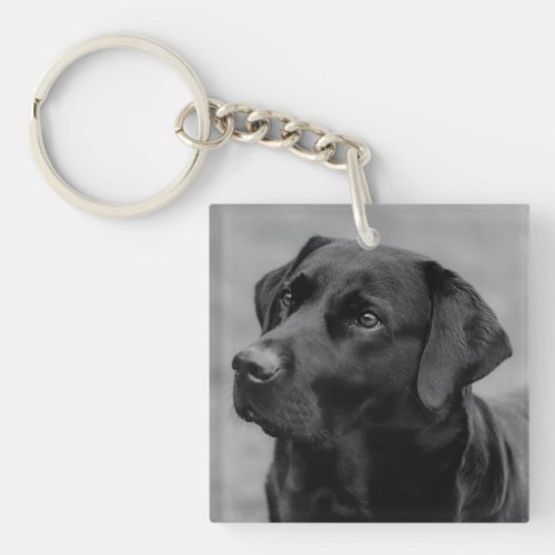 A lovely Black Labrador  Keychain