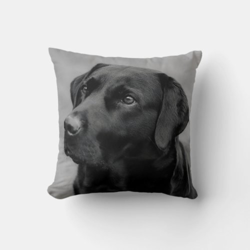 A lovely Black Labrador Throw Pillow