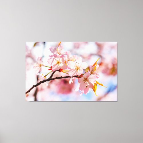 A Lovely Bunch Of Sakura Flowers On Pink Backdrop Canvas Print