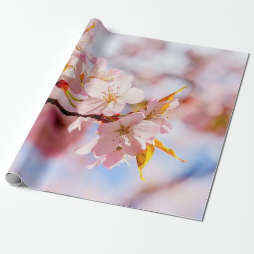 A Lovely Bunch Of Sakura Flowers On Pink Backdrop Wrapping Paper
