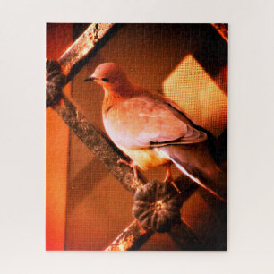 A Lovely Dove Jigsaw Puzzle