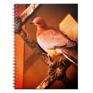 A Lovely Dove Notebook