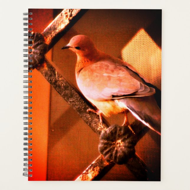 A Lovely Dove Planner (Front)