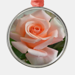A Lovely Pink Rose Premium Round Ornament