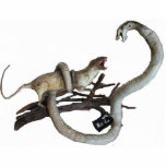 A lover's quarrel DESK STATUE<br><div class="desc">Nothing says love like a chupacabra being snuggled by a cobra.  The perfect gift for the one you love.  It would also be great on a wedding cake.</div>