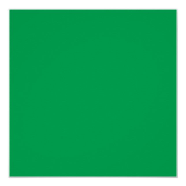 A lush green fern with delicate, intricately patte poster (Front)