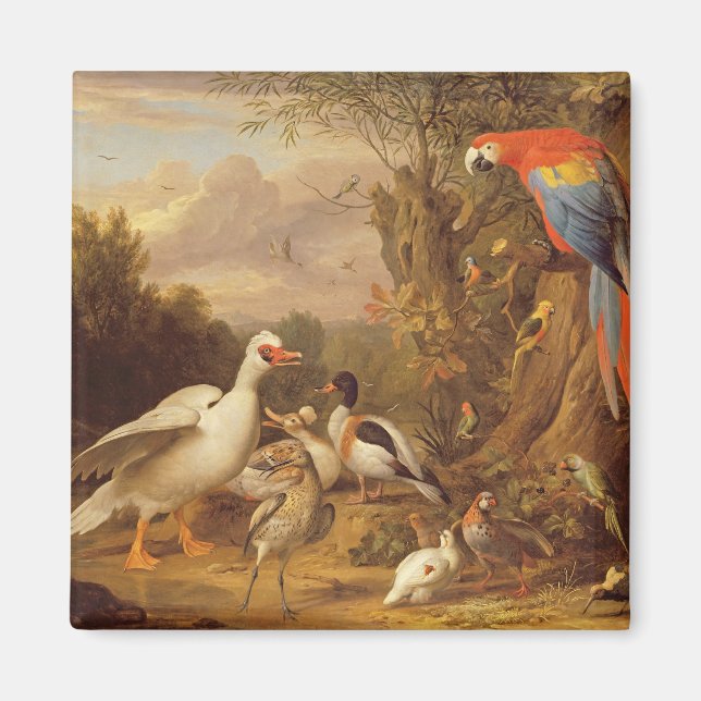 A Macaw, Ducks, Parrots and Other Birds in a Lands Magnet (Front)