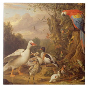A Macaw, Ducks, Parrots and Other Birds in a Lands Tile