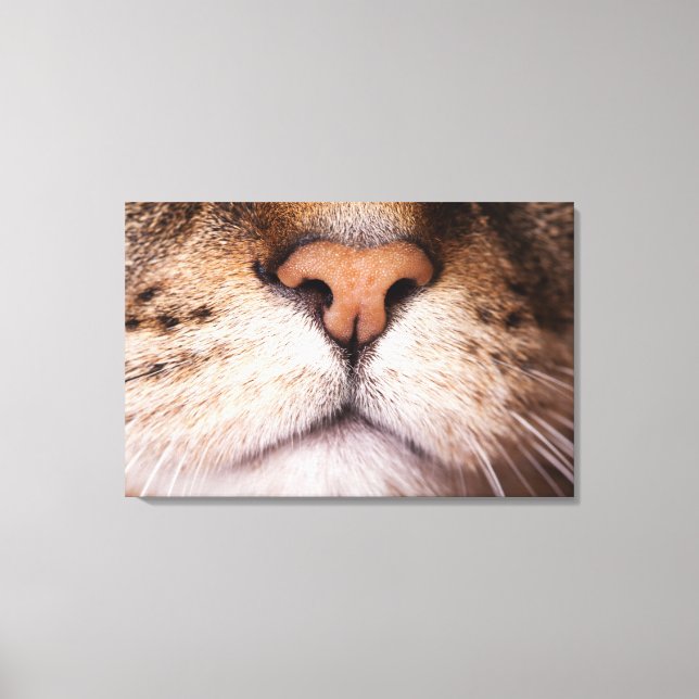 A macro image of a cat's nose and mouth. canvas print (Front)