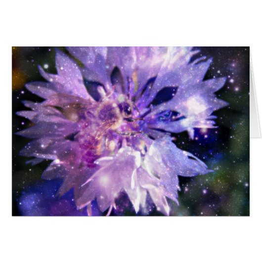 A Magical Honey Bee Cards (Front Horizontal)
