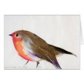 A magical little robin called Wisp 2011 (Front Horizontal)