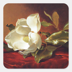 A Magnolia on Red Velvet, famous painting, Square Sticker
