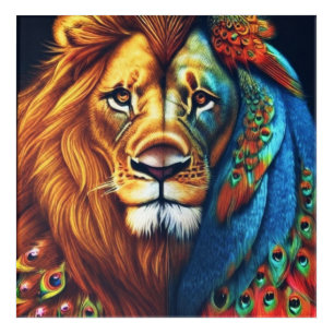 A Majestic Sight: A Lion with Peacock Feathers Gal Acrylic Print