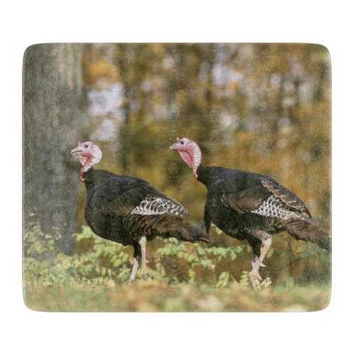 A male Female Turkey Pair Photograph in Fall Cutting Board