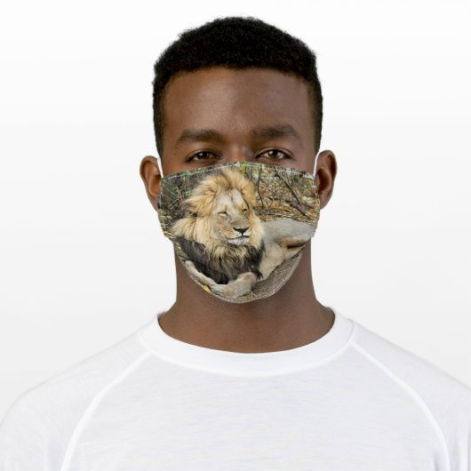 A male lion adult cloth face mask (Worn)