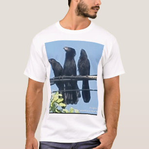 A Male shirt swallows a single canoe