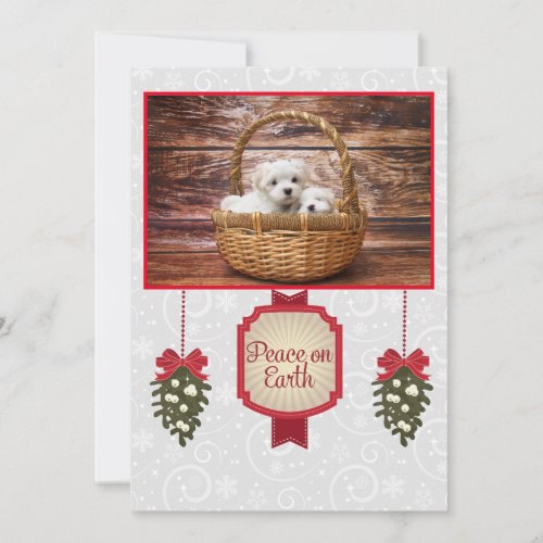 A Maltese Christmas Holiday Card