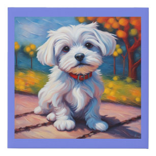 A Maltese Puppy Sitting  Faux Canvas Print