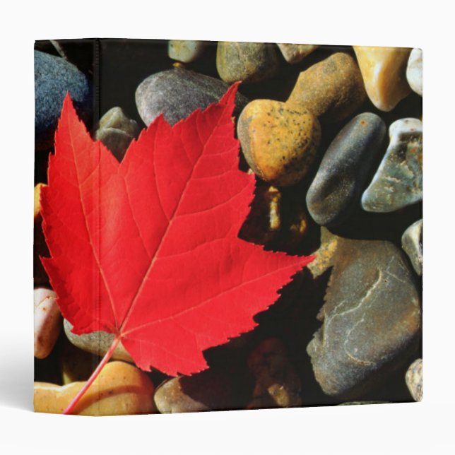 A Maple leaf on a Rock Background 3 Ring Binder (Front/Spine)