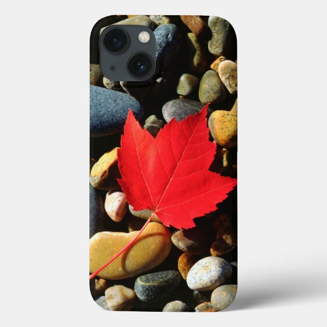 A Maple leaf on a Rock Background Case-Mate iPhone Case (Back)