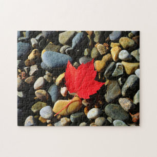 A Maple leaf on a Rock Background Jigsaw Puzzle