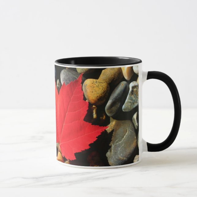 A Maple leaf on a Rock Background Mug (Right)