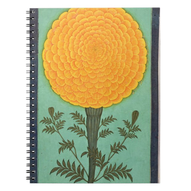 A Marigold, from the Small Clive Album (w/c on pap Notebook (Front)