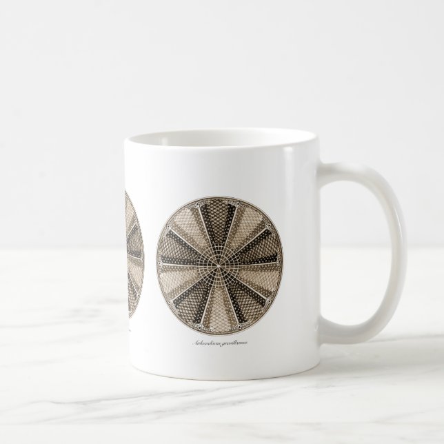 A Marine Diatom Coffee Mug (Right)