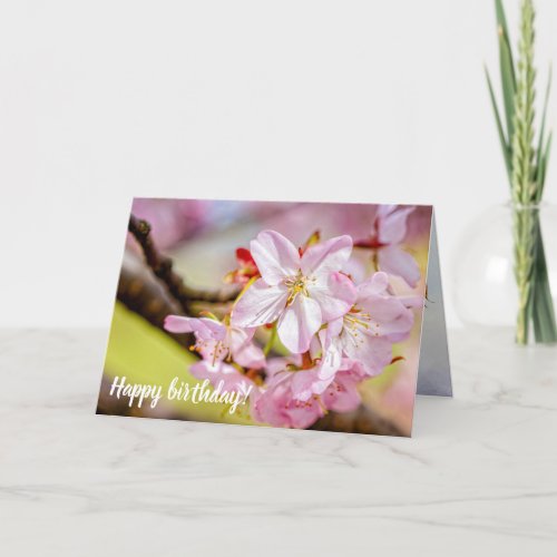 A Marvelous Bunch Of Pink Sakura Flowers In Spring Card